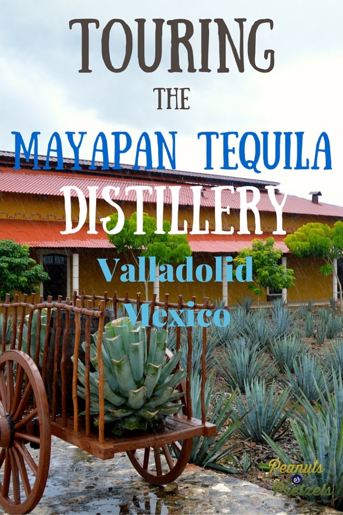 Mayapan Tequila Distillery Valladolid, Mexico Peanuts or Pretzels