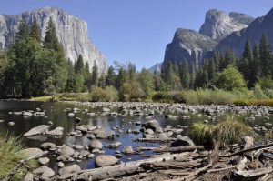 Yosemite National Park